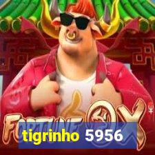 tigrinho 5956